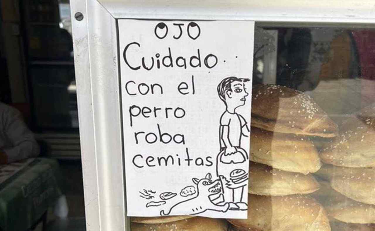 perro roba cemitas anuncio viral internet