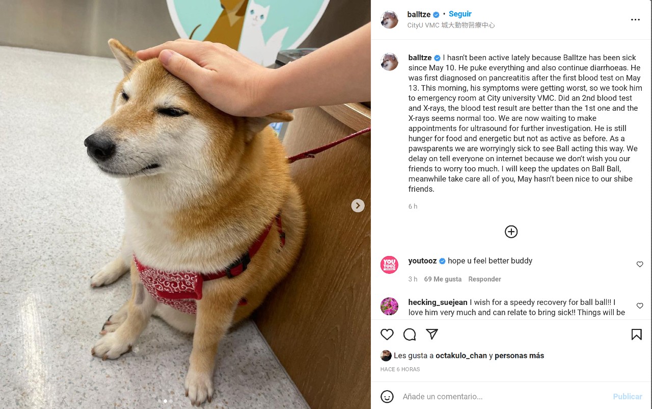 perrito memes cheems instagram