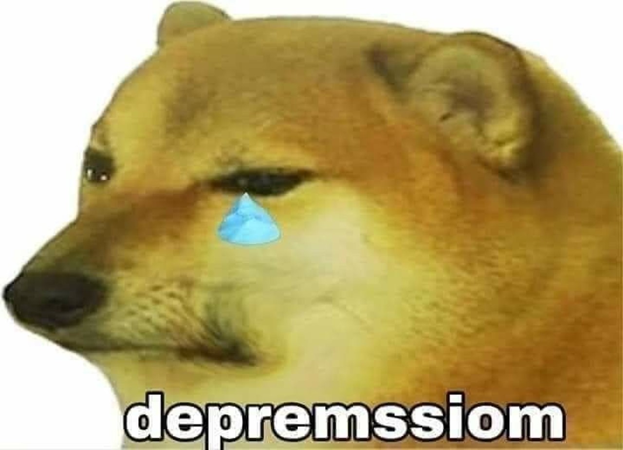 perrito memes chems enfermo