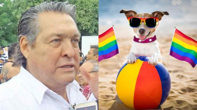 perro lgbt