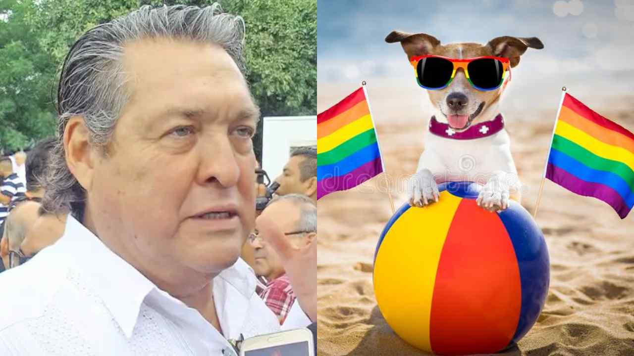 perro lgbt