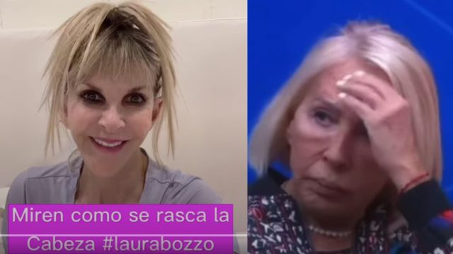 piojos laura bozzo shanik berman