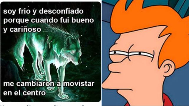 memes furros internet lobos