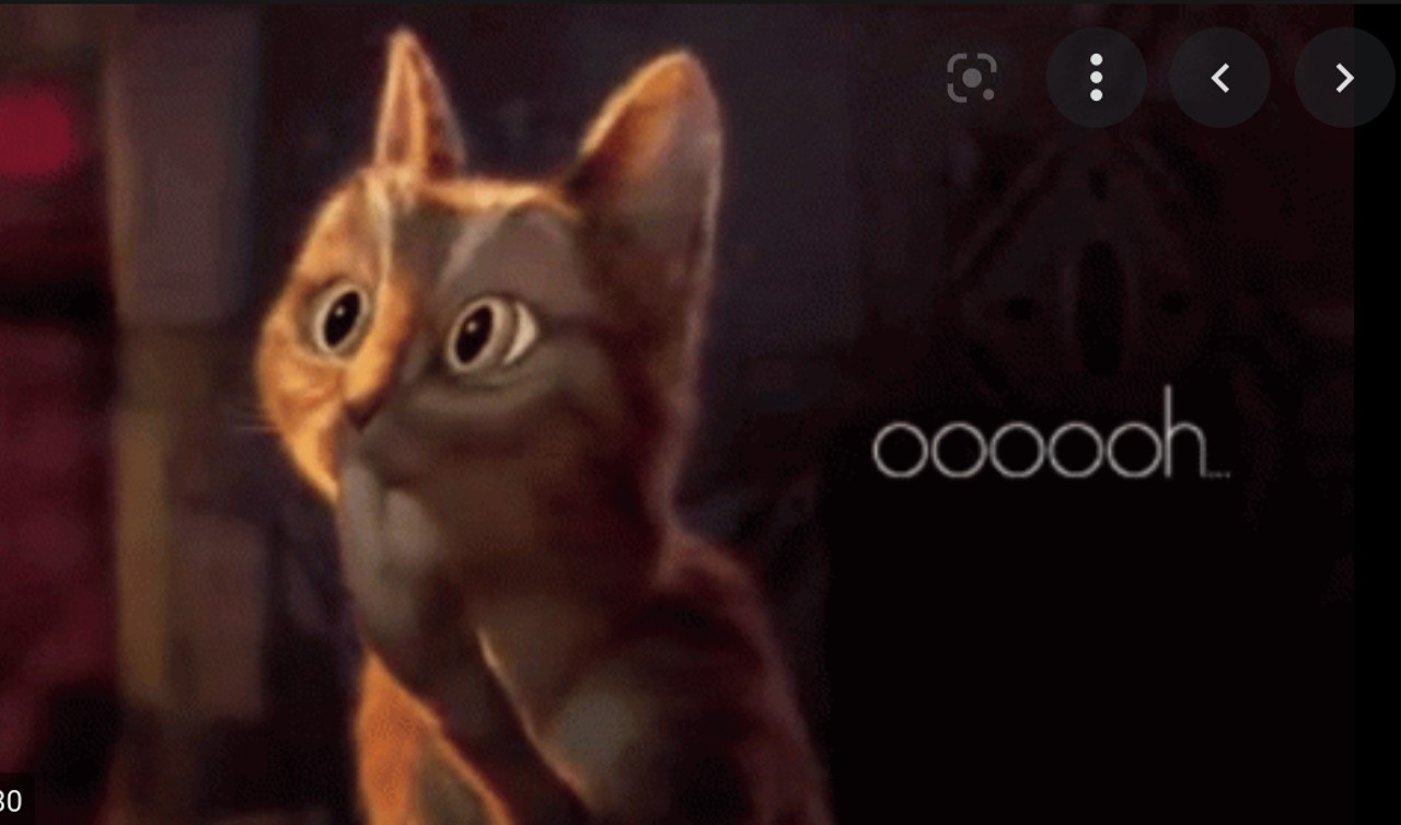 meme gato ouch