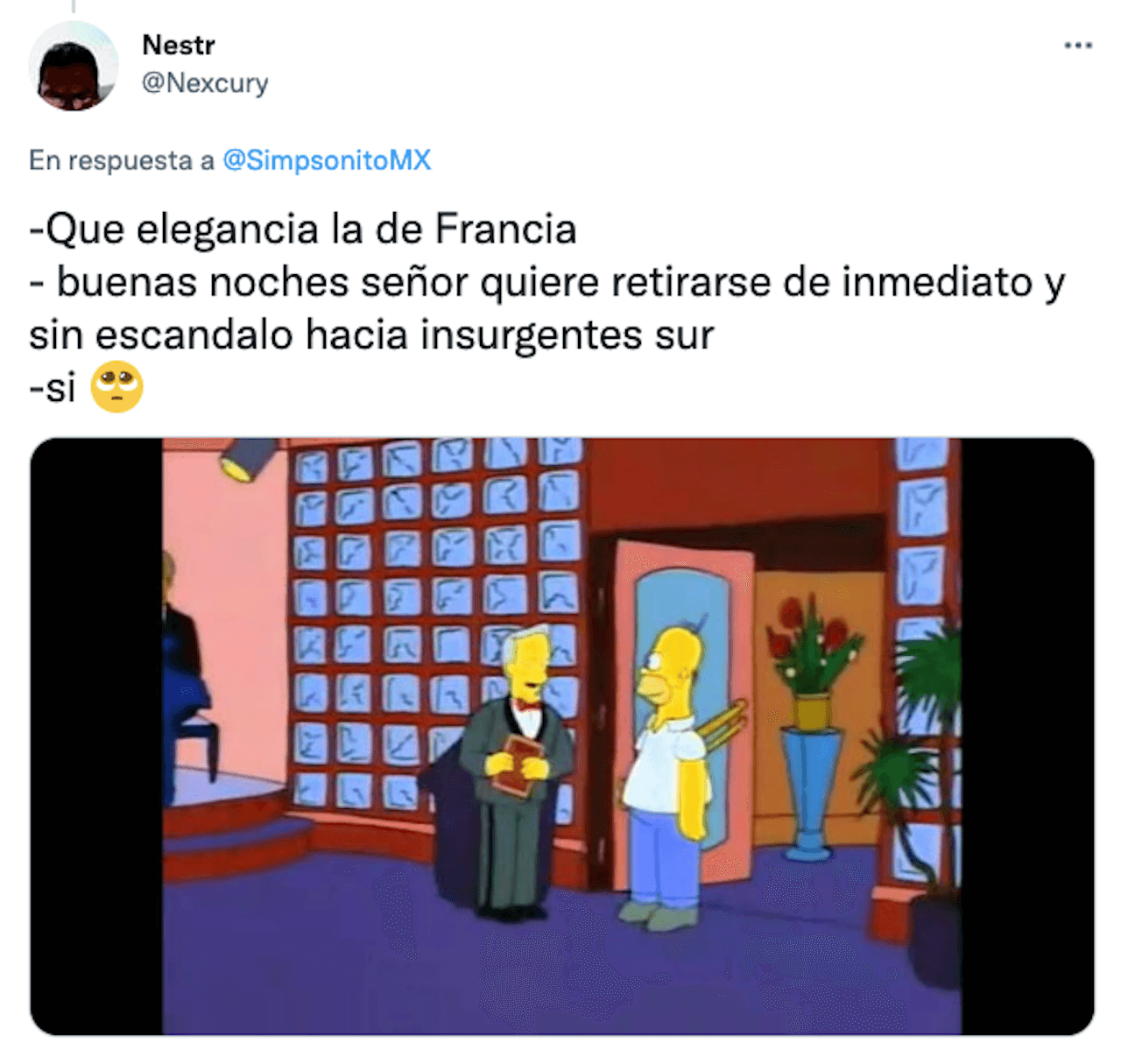 Meme antro tipo Insurgentes Sur polanco Los Simpson
