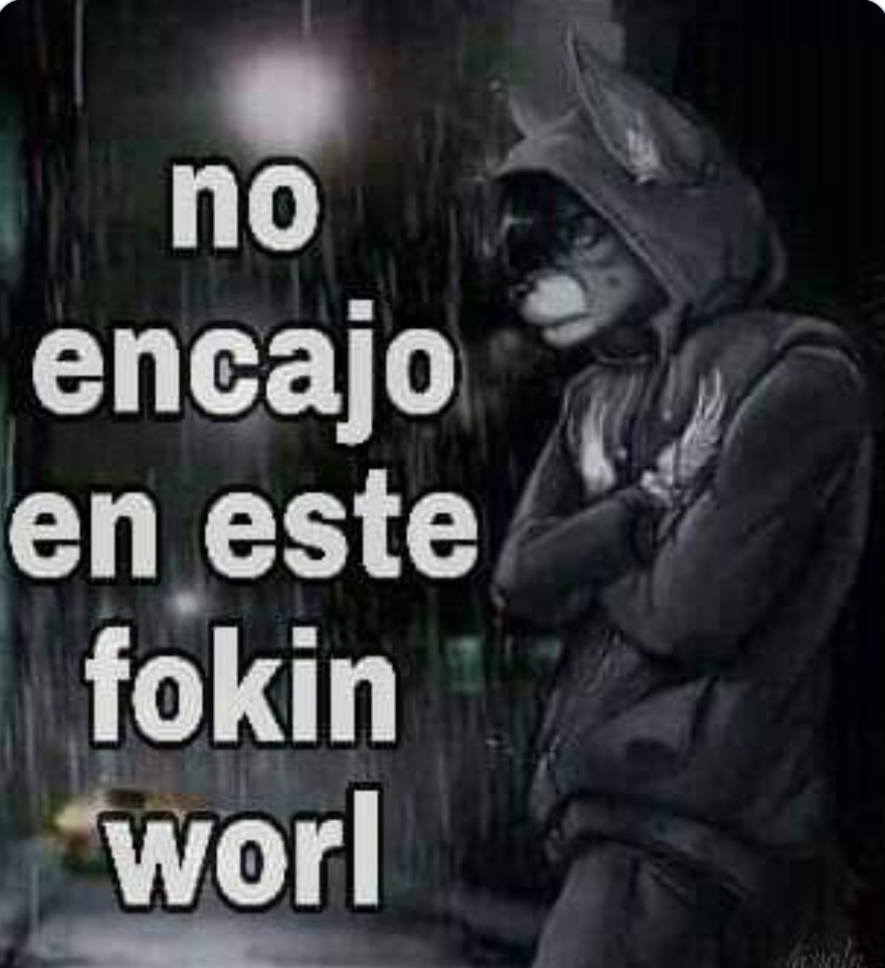 memes lobos facebook internet