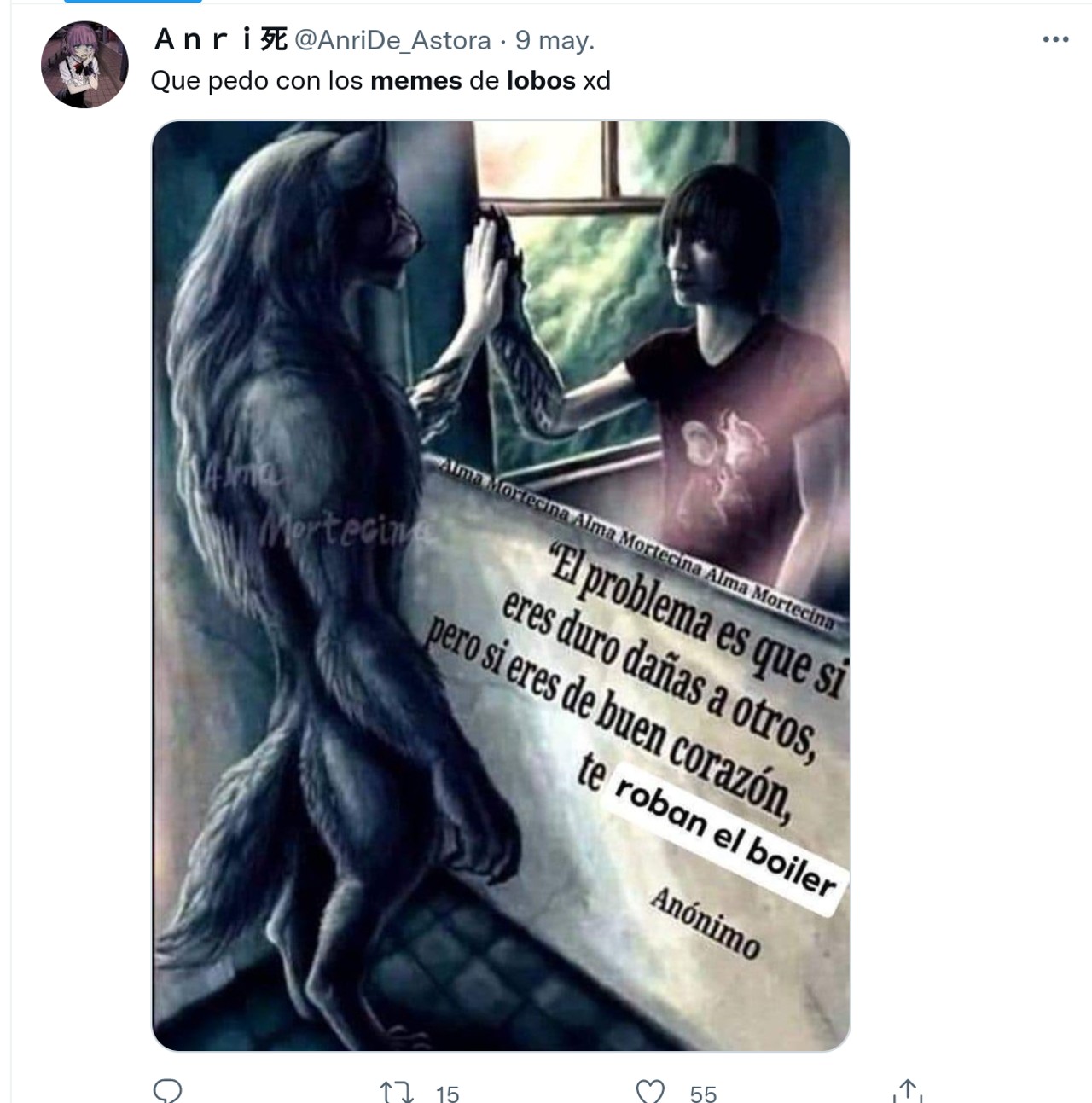 memes twotter lobos internet