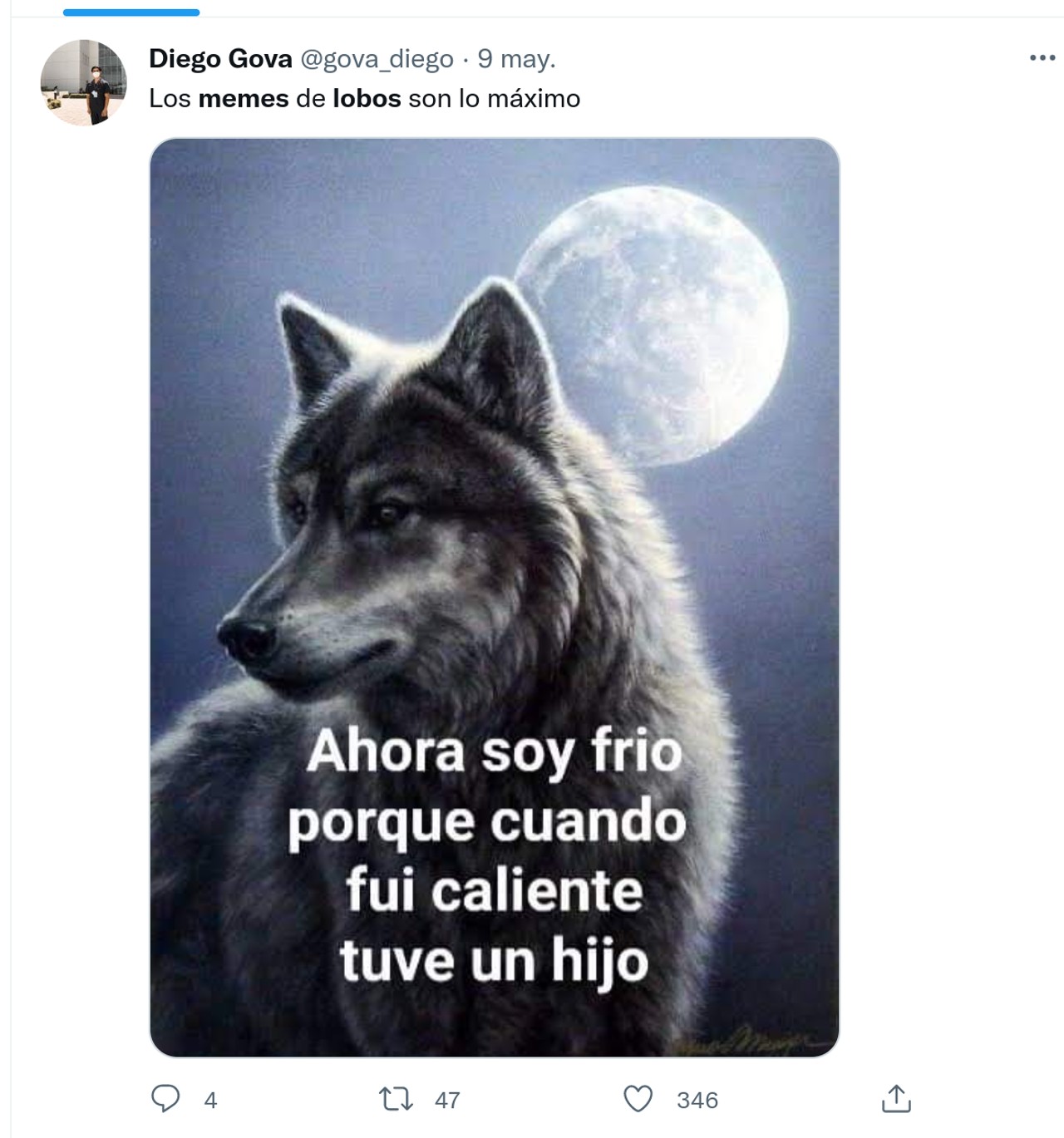 memes lobos internet facebook contexto