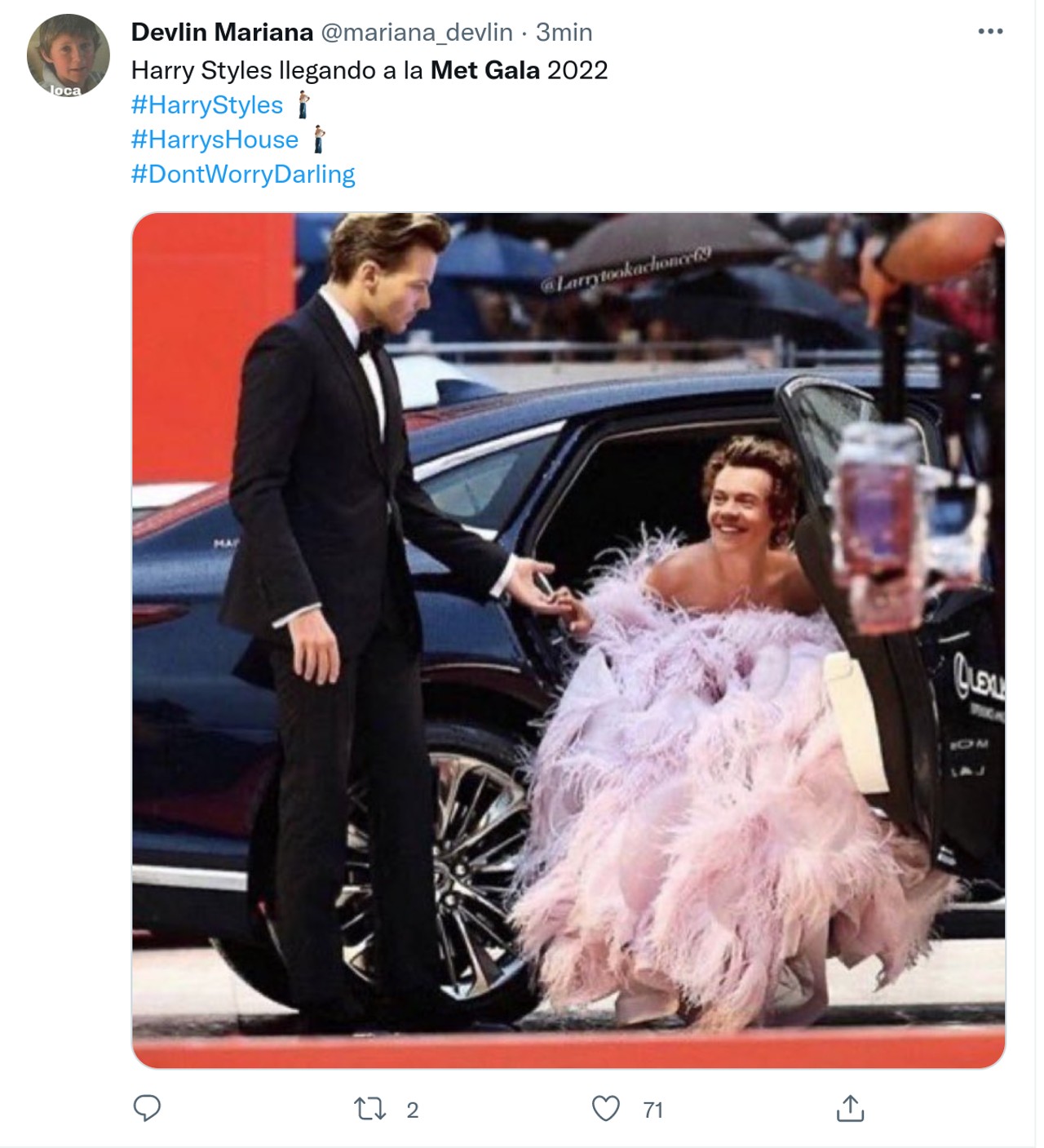 met gala memes ceremonia harry princesa