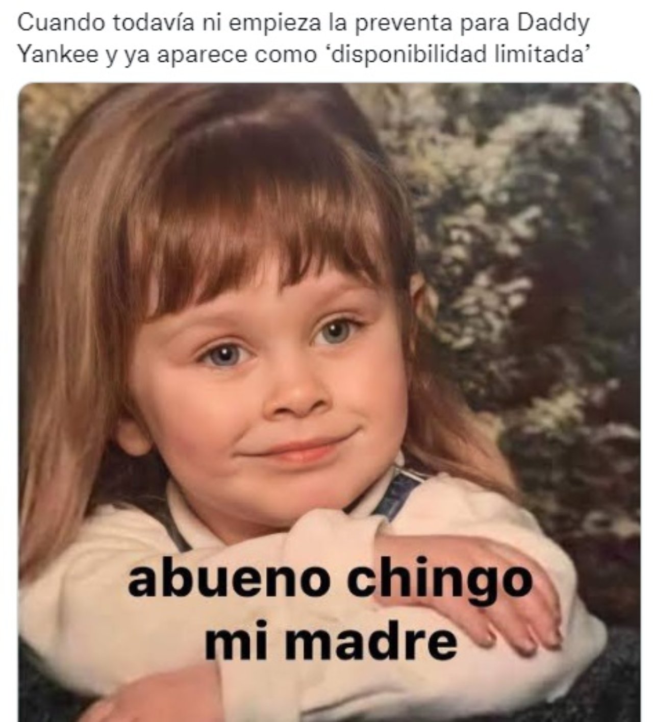 Ah bueno chingo mi madre meme
