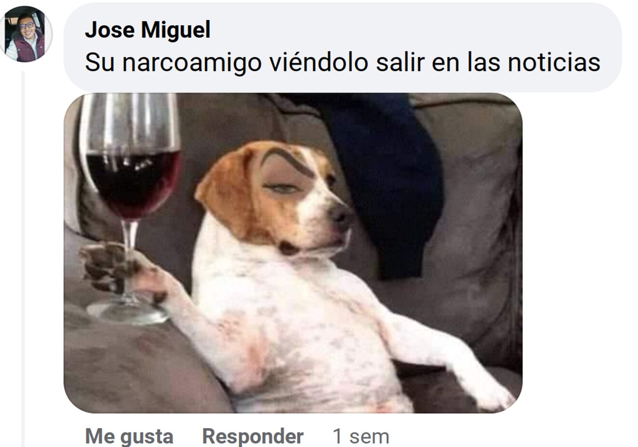 memes perro detenido comentarios