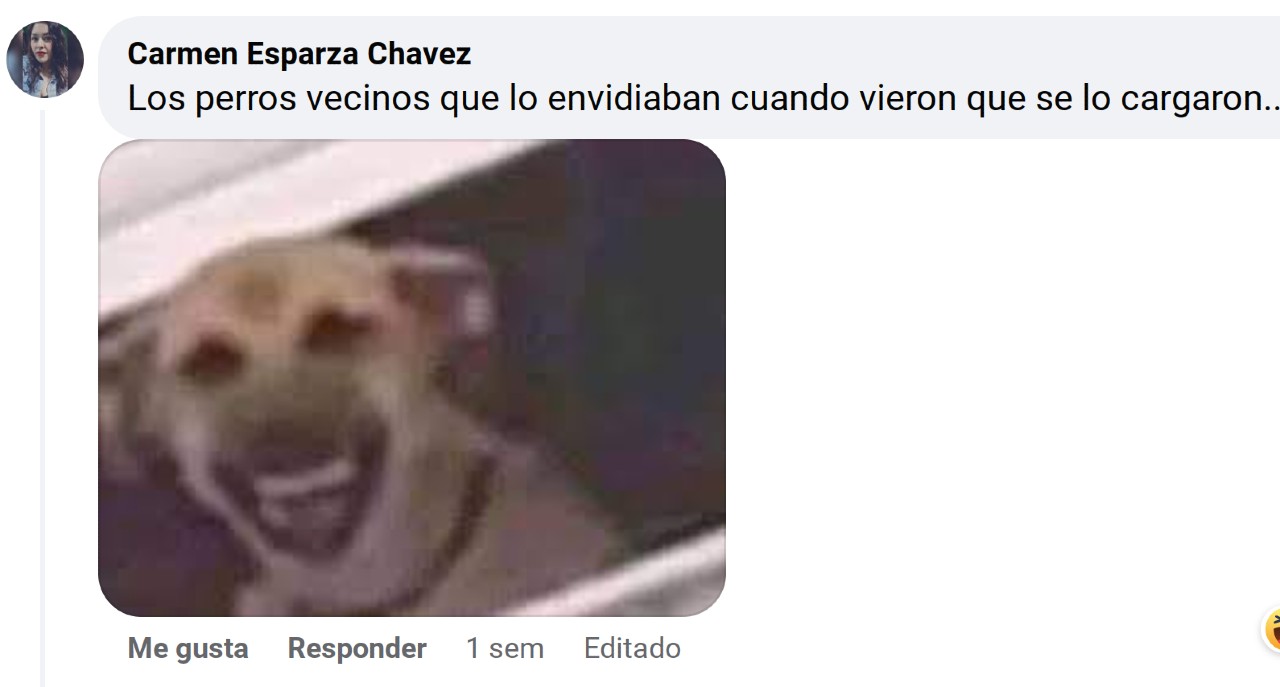 Detienen a narcoperro inicia reinserción social y se vuelve viral
