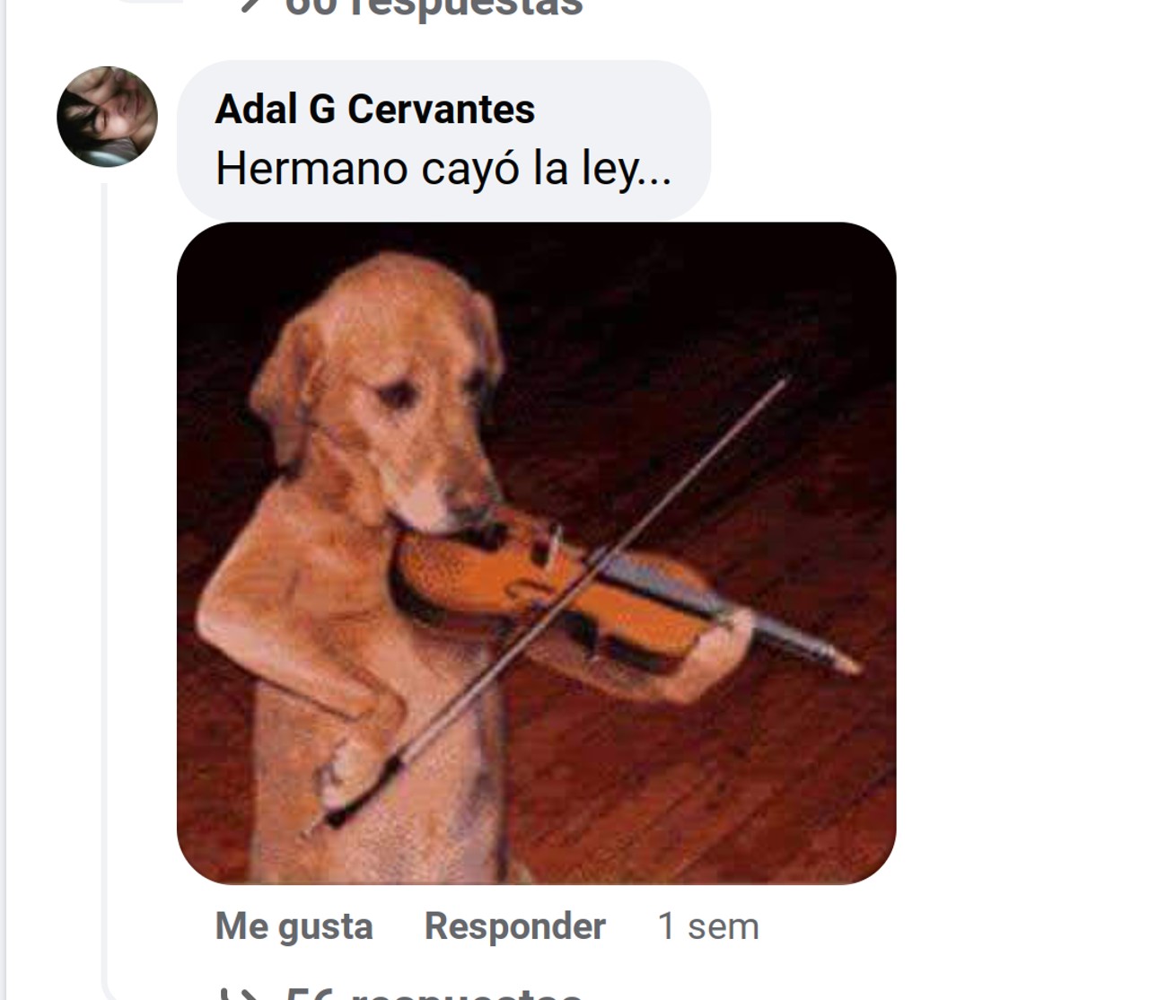Detienen a narcoperro inicia reinserción social y se vuelve viral