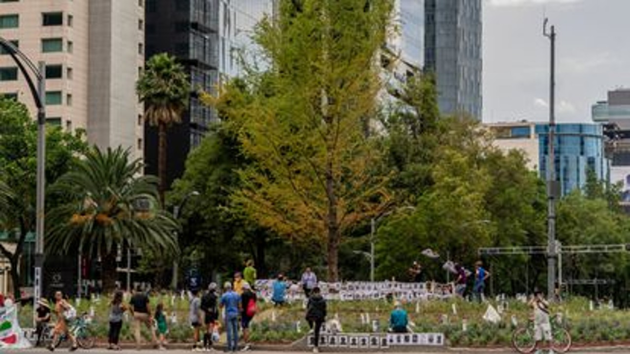 paseo de la reforma ahuehuehuete adaptación