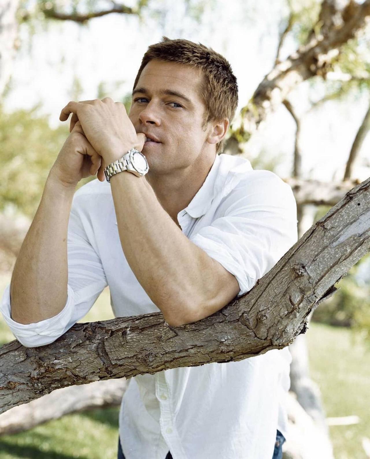 Brad Pitt Angelina Jolie demanda reputacion