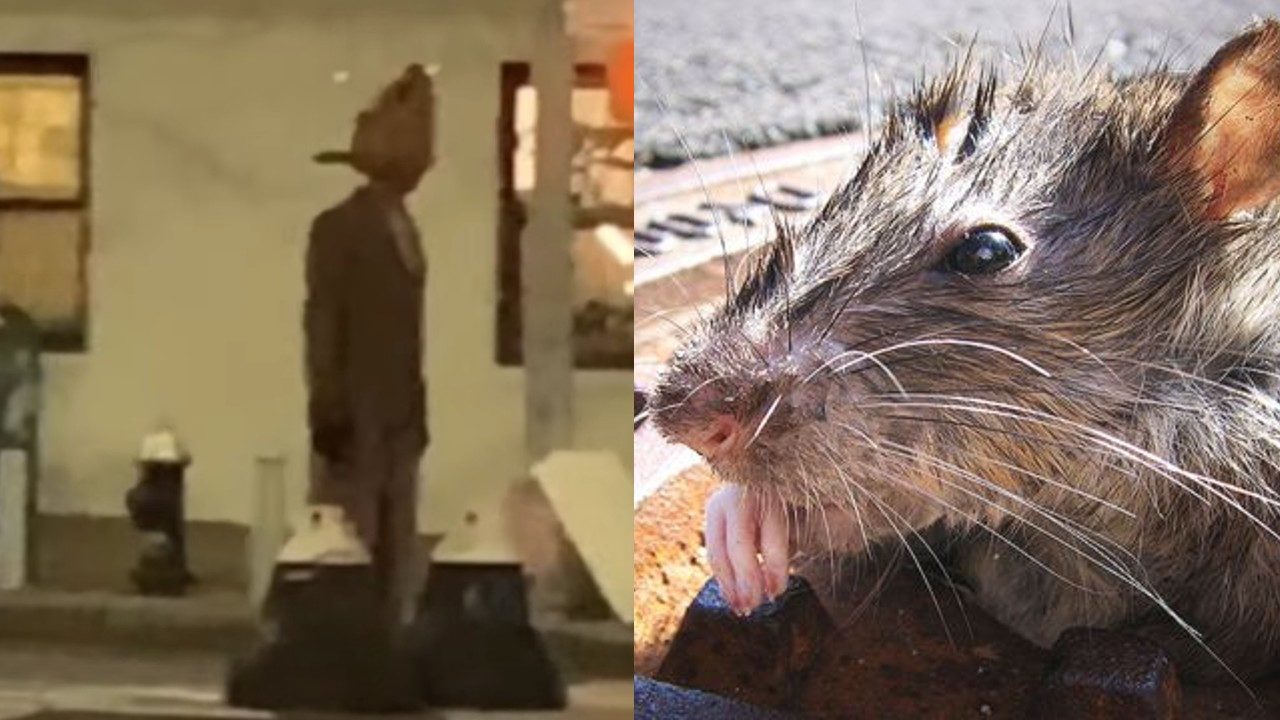 hombre rata youtube nueva york calle