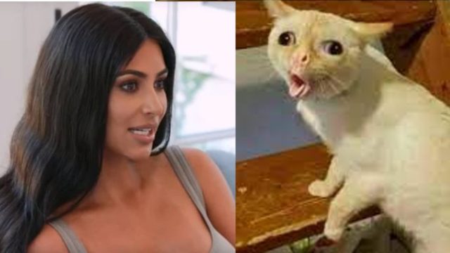 kim kardashian comer popo asco