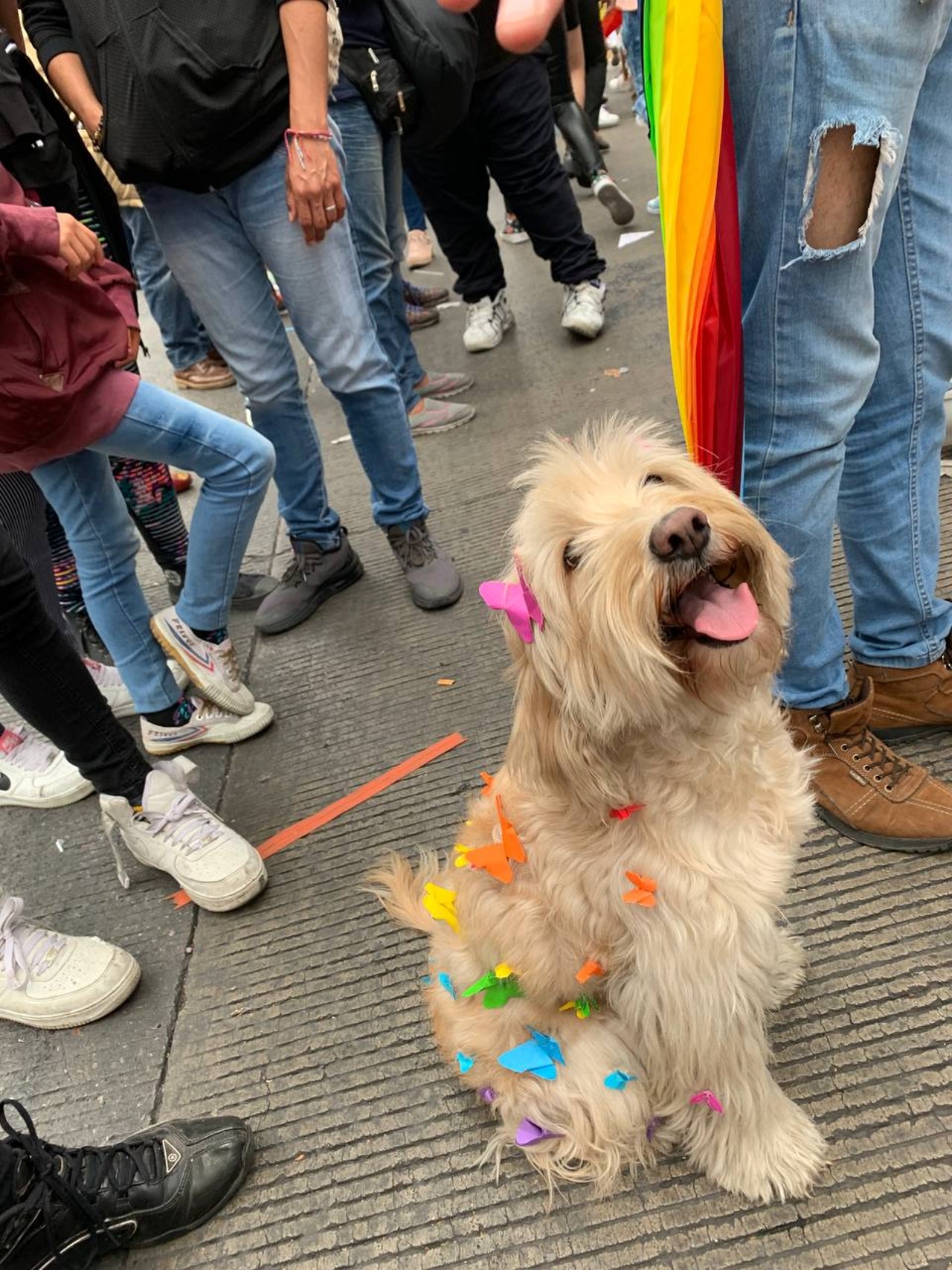 atuendos pride marcha del orgullo lgbt
