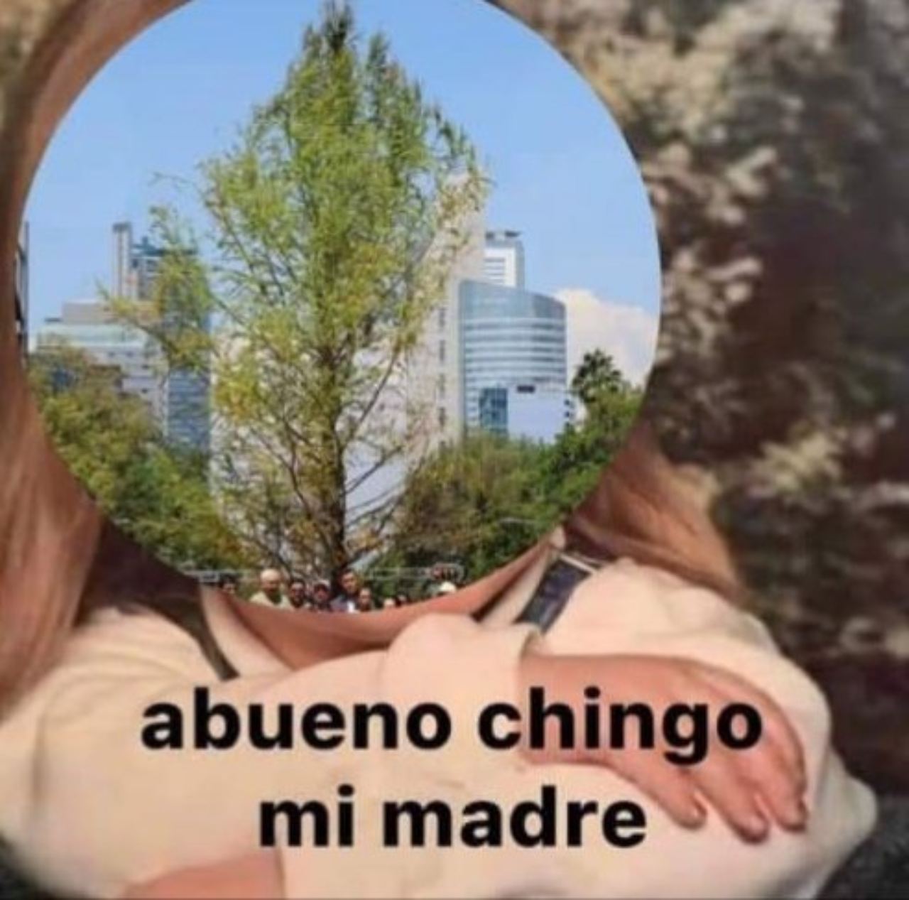 Meme niño chingo mi madre version ahuehuete