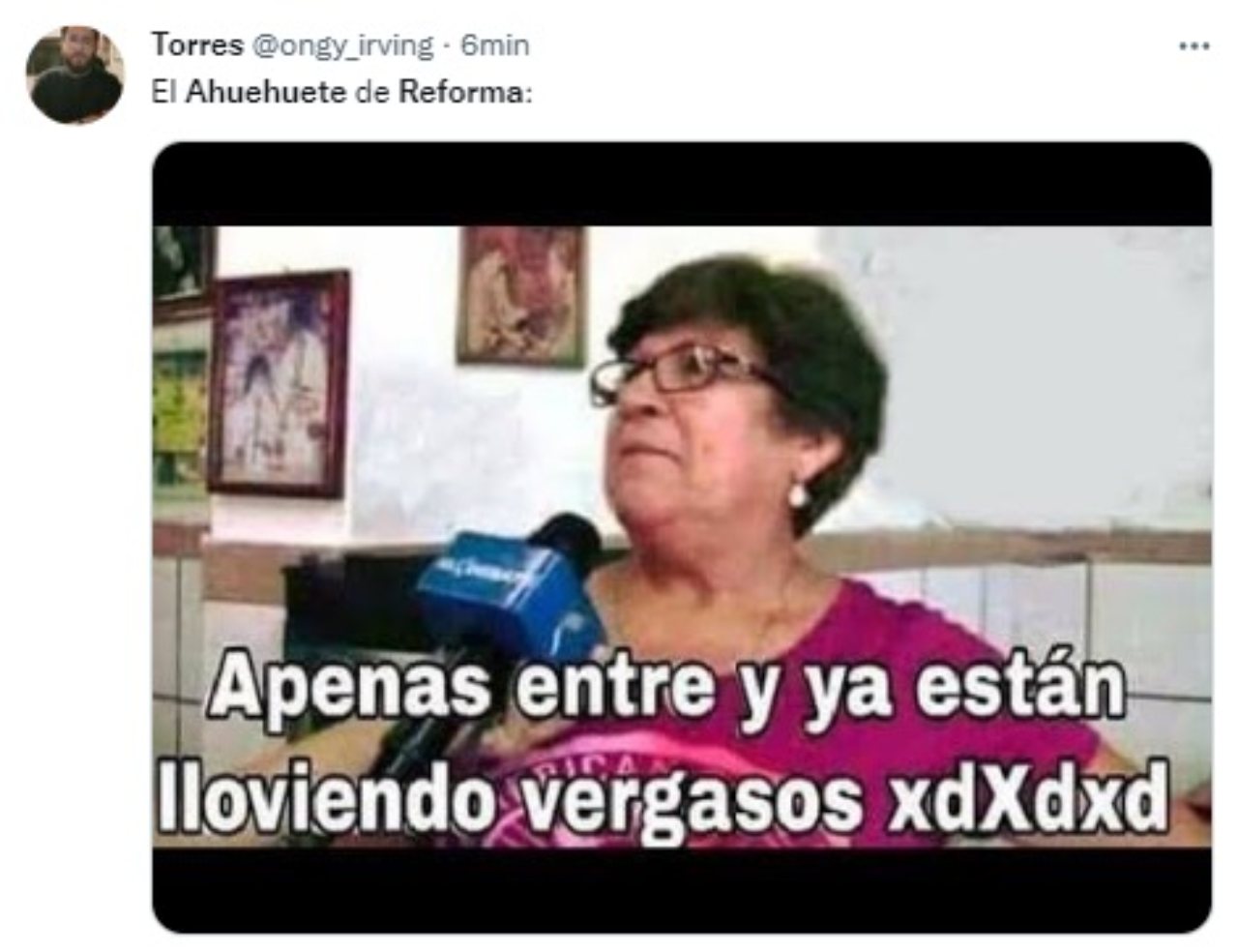 ahuehuete choque glorieta de reforma memes