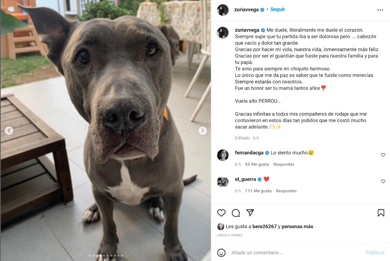zuria vega hijo fallecimiento