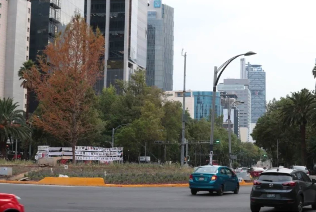 paseo de la reforma ahuehuehuete adaptación