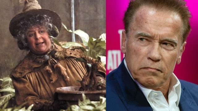 actriz harry potter pedo arnold