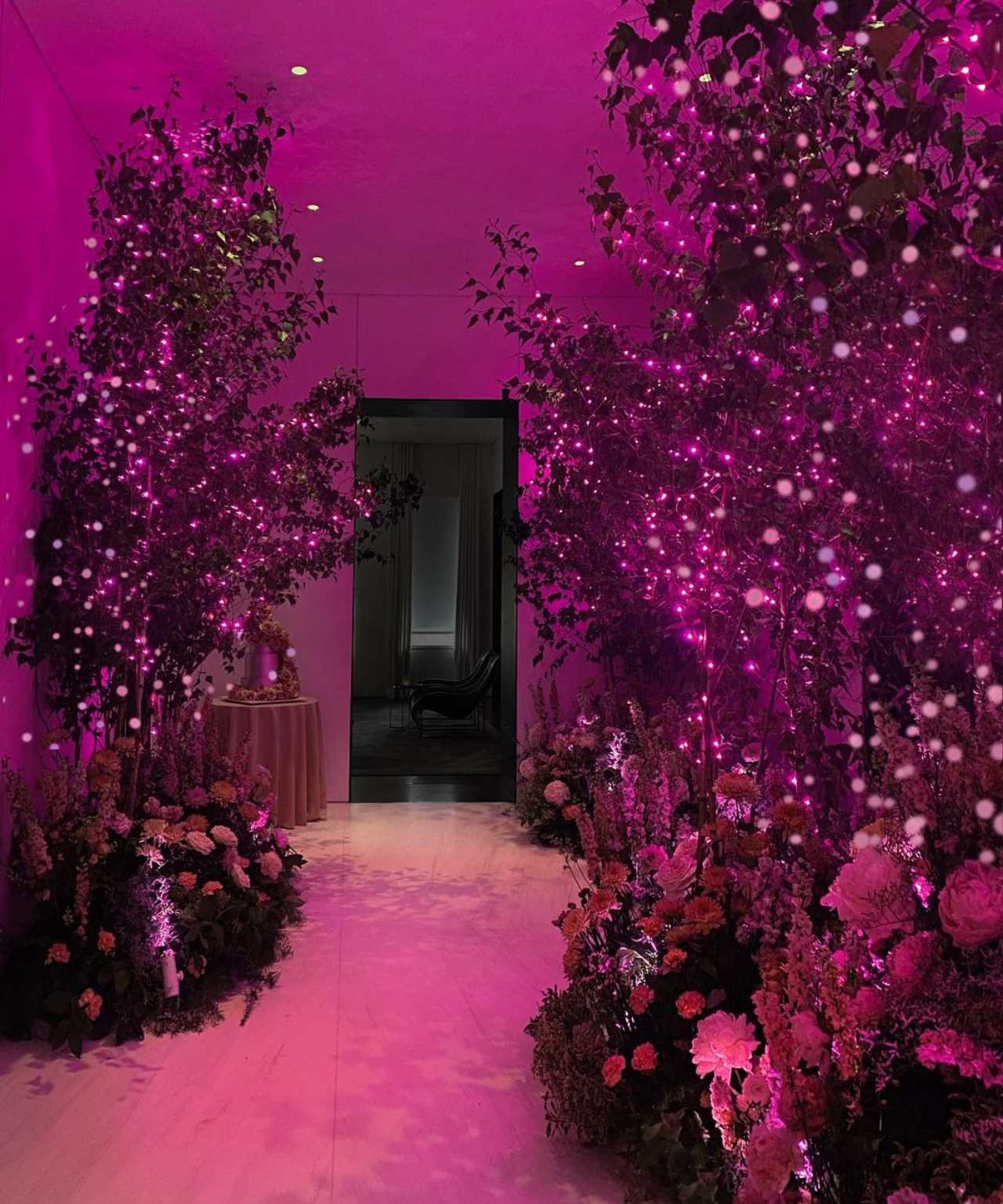 Jardin Encantado Vera Wang fiesta rosa