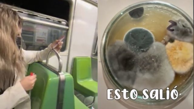 Biologa revela parte mas sucia metro