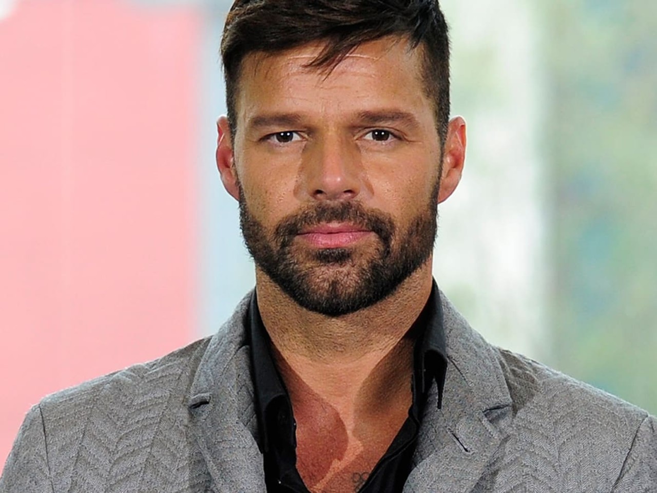 ricky martin violencia domestica