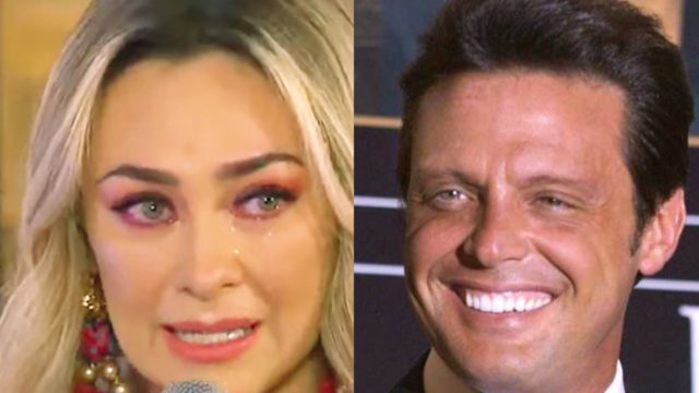 Aracely arambula regresar Luis Miguel rechazo