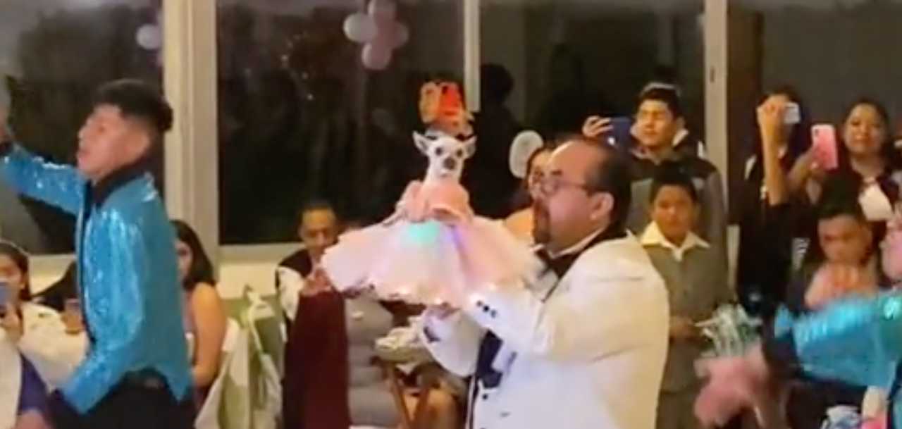 XV años perrita chihuahua 