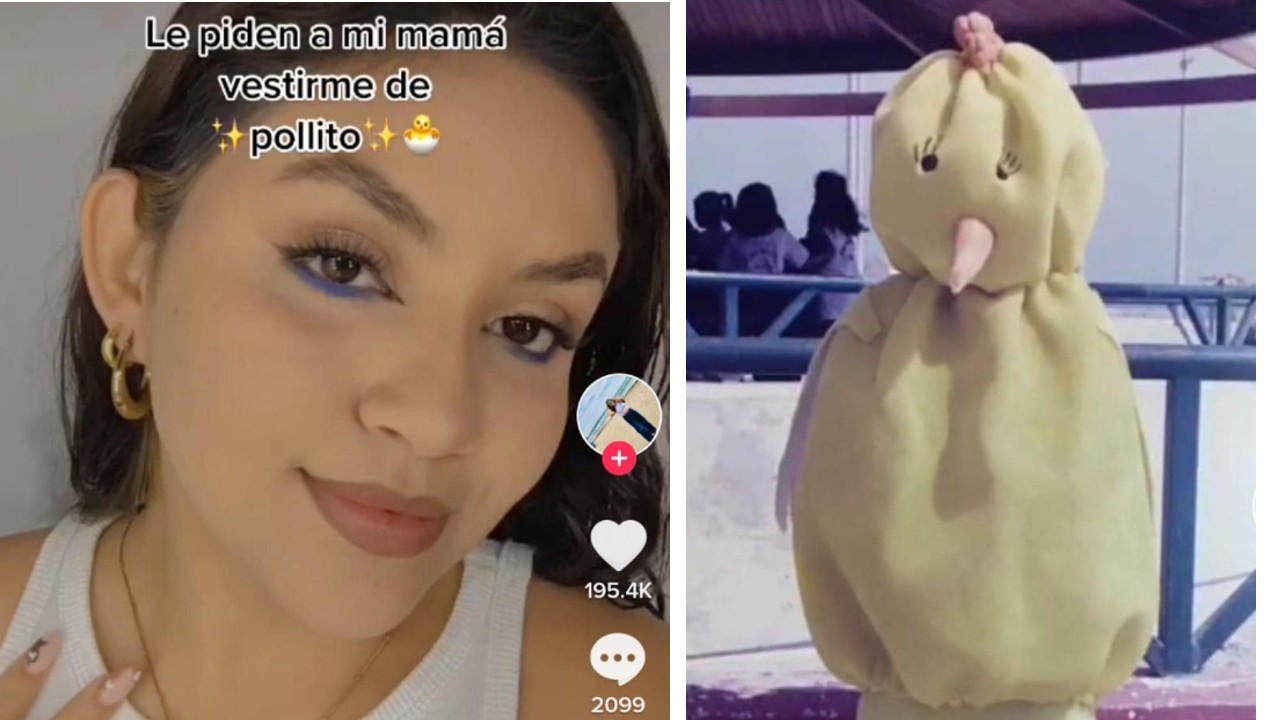 Chicas disfraces animalitos infancia