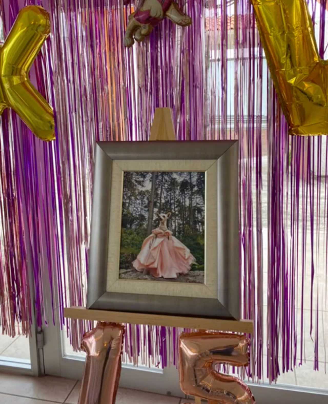 Fotografia de la quinceañera
