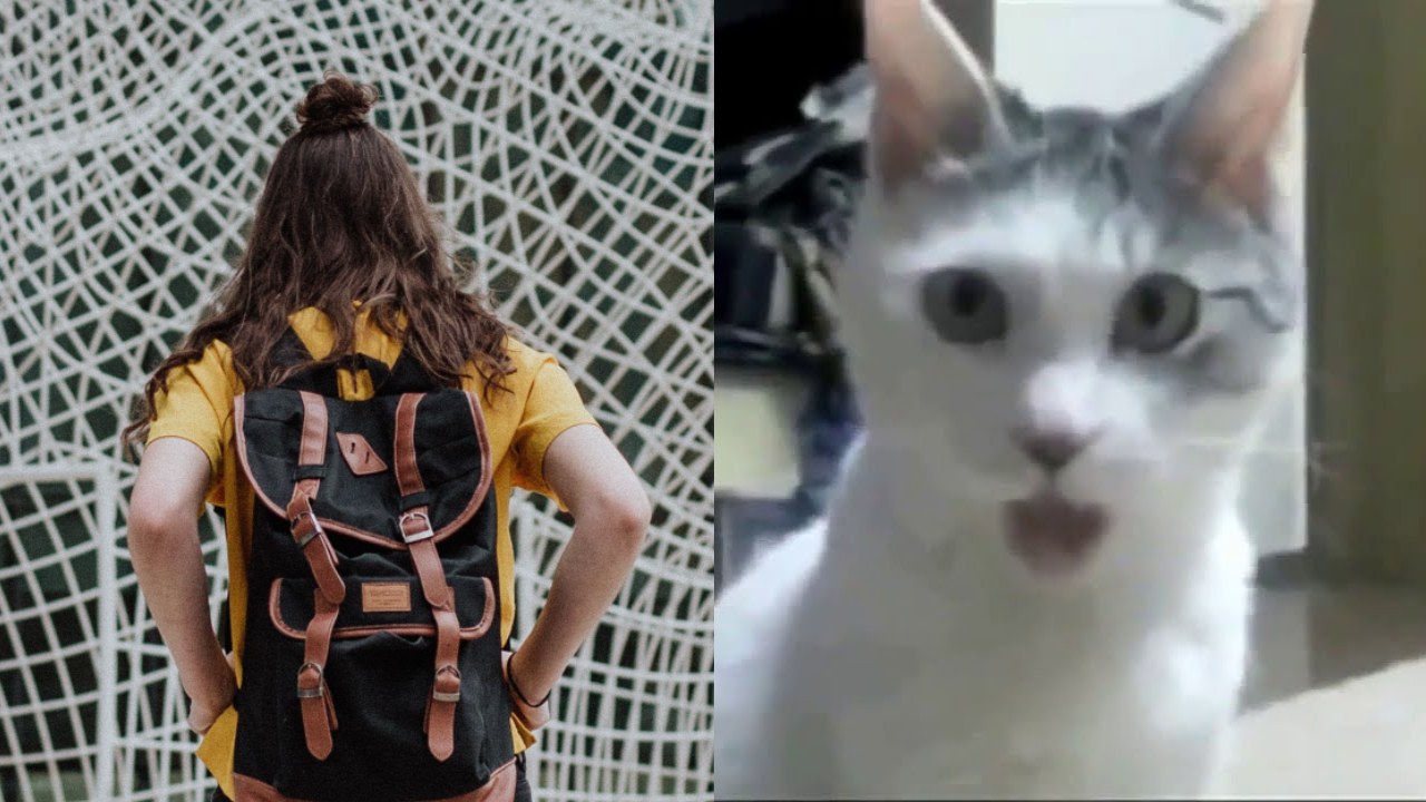 Niña se cree gato en Australia