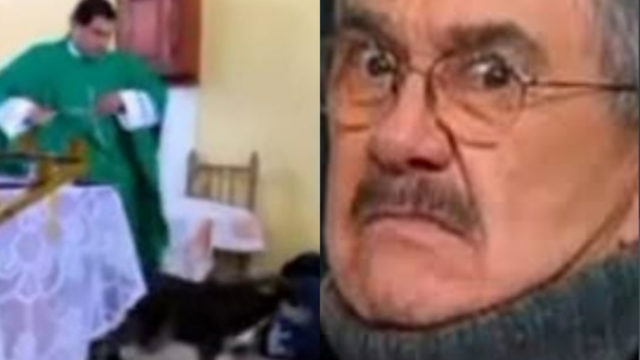 Padre patea perrito
