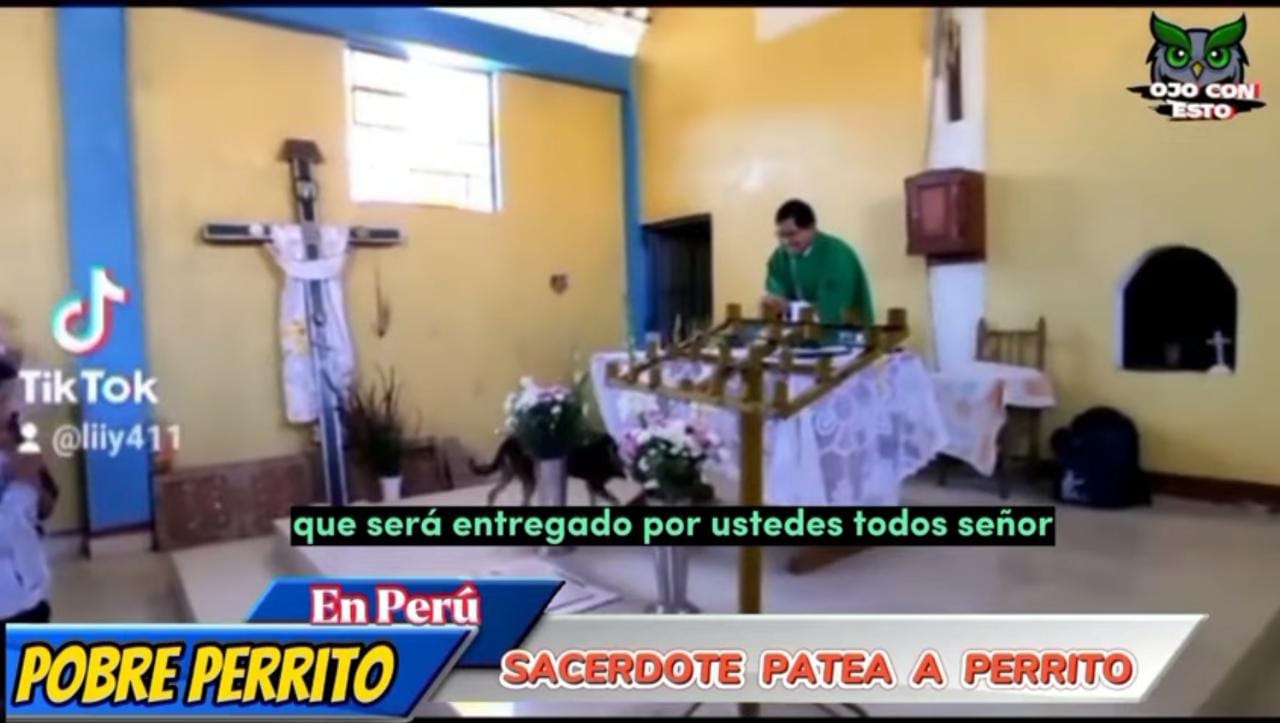 Perrito mesa