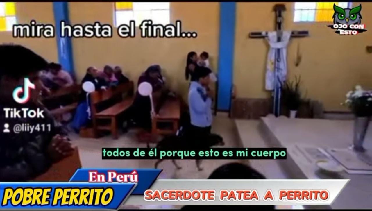 Perrito iglesia peruana