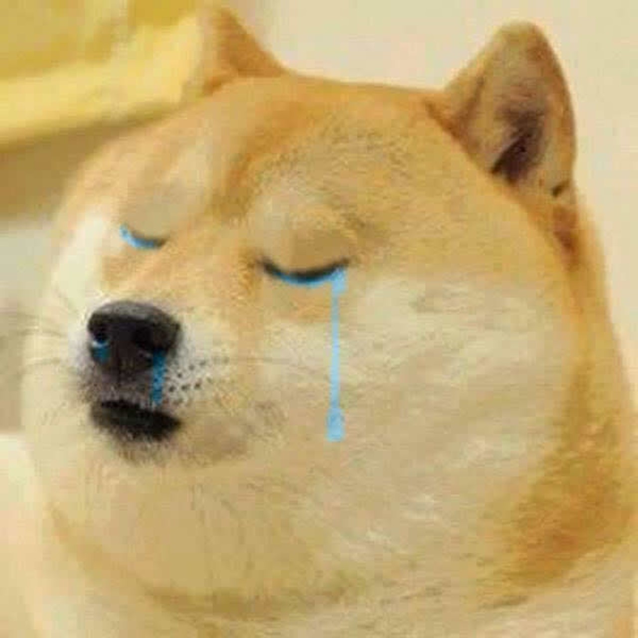 perro hachiko metro cdmx