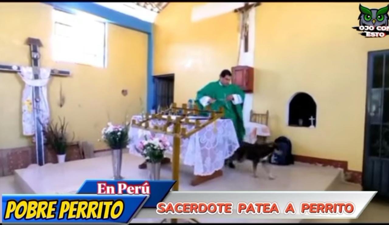 Padre patea lomito