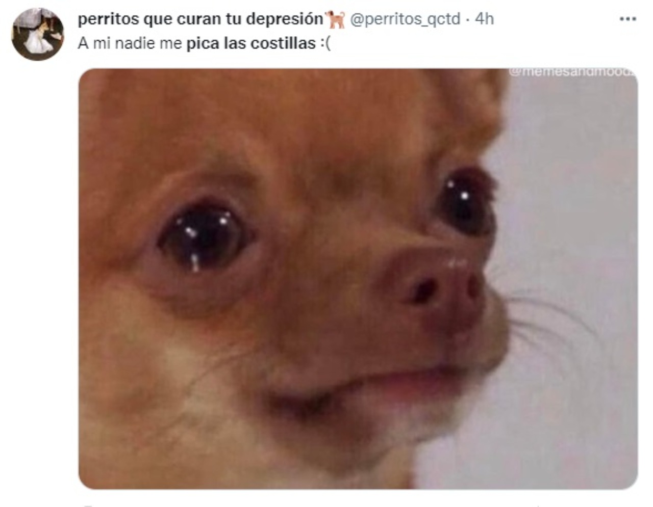 Meme piquete de costillas trabajo escuela