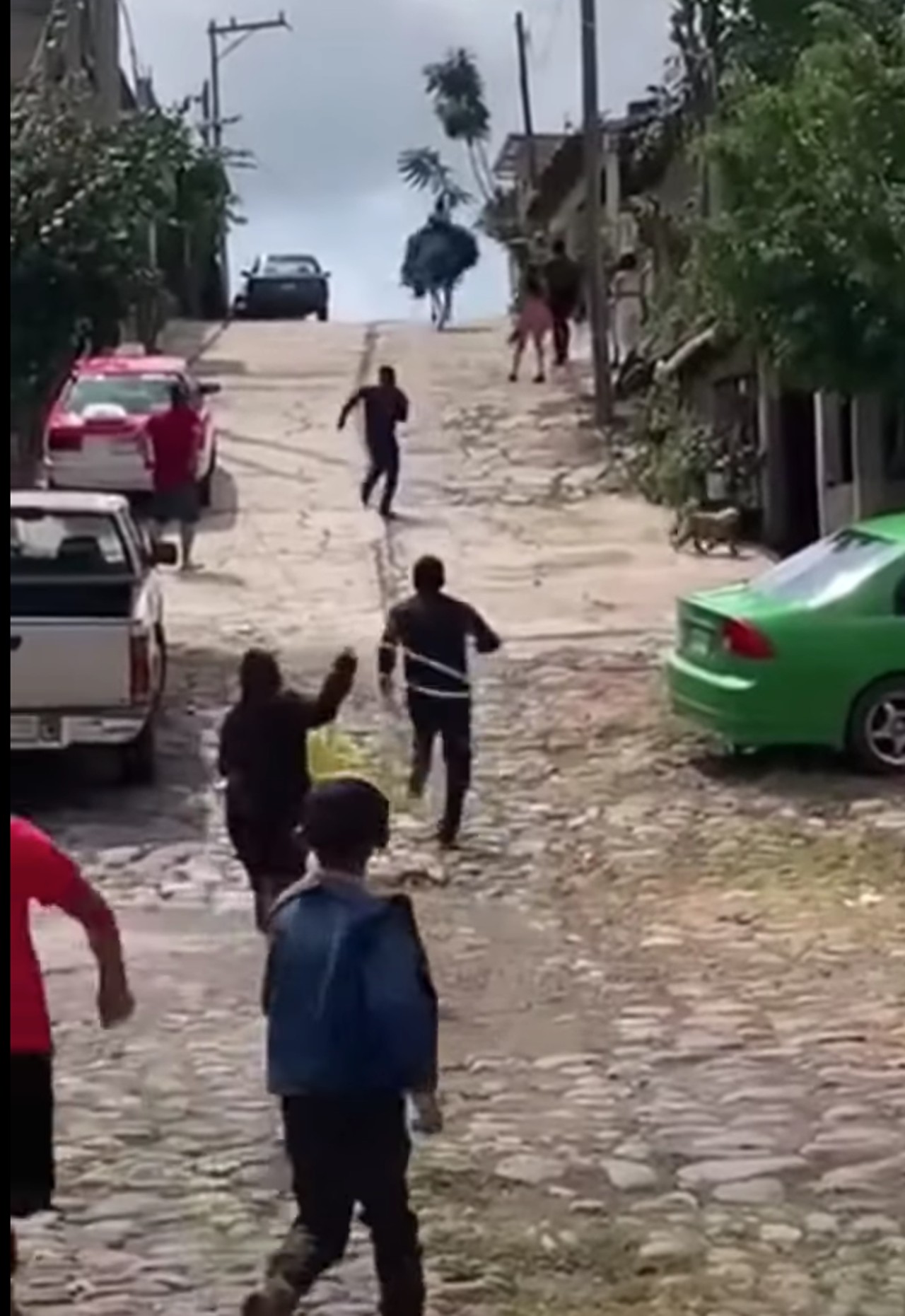 Caballo quinceañera viral