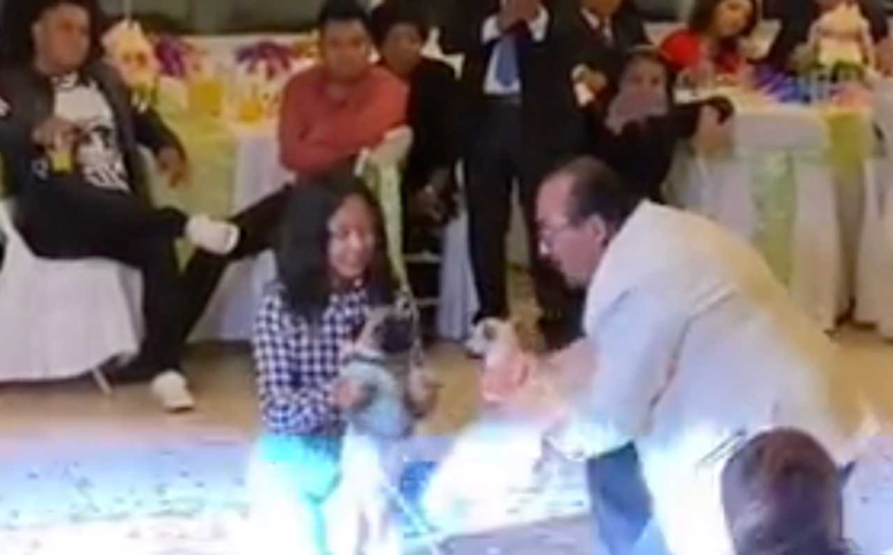 Vals de perrita chihuahua 