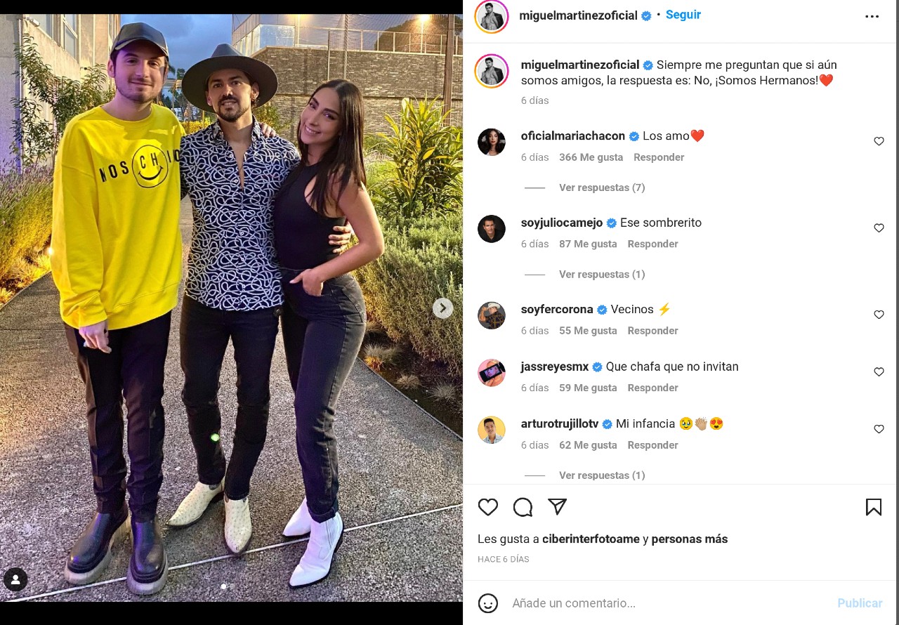 Chofis Alcachofa Patito telenovela reencuentro