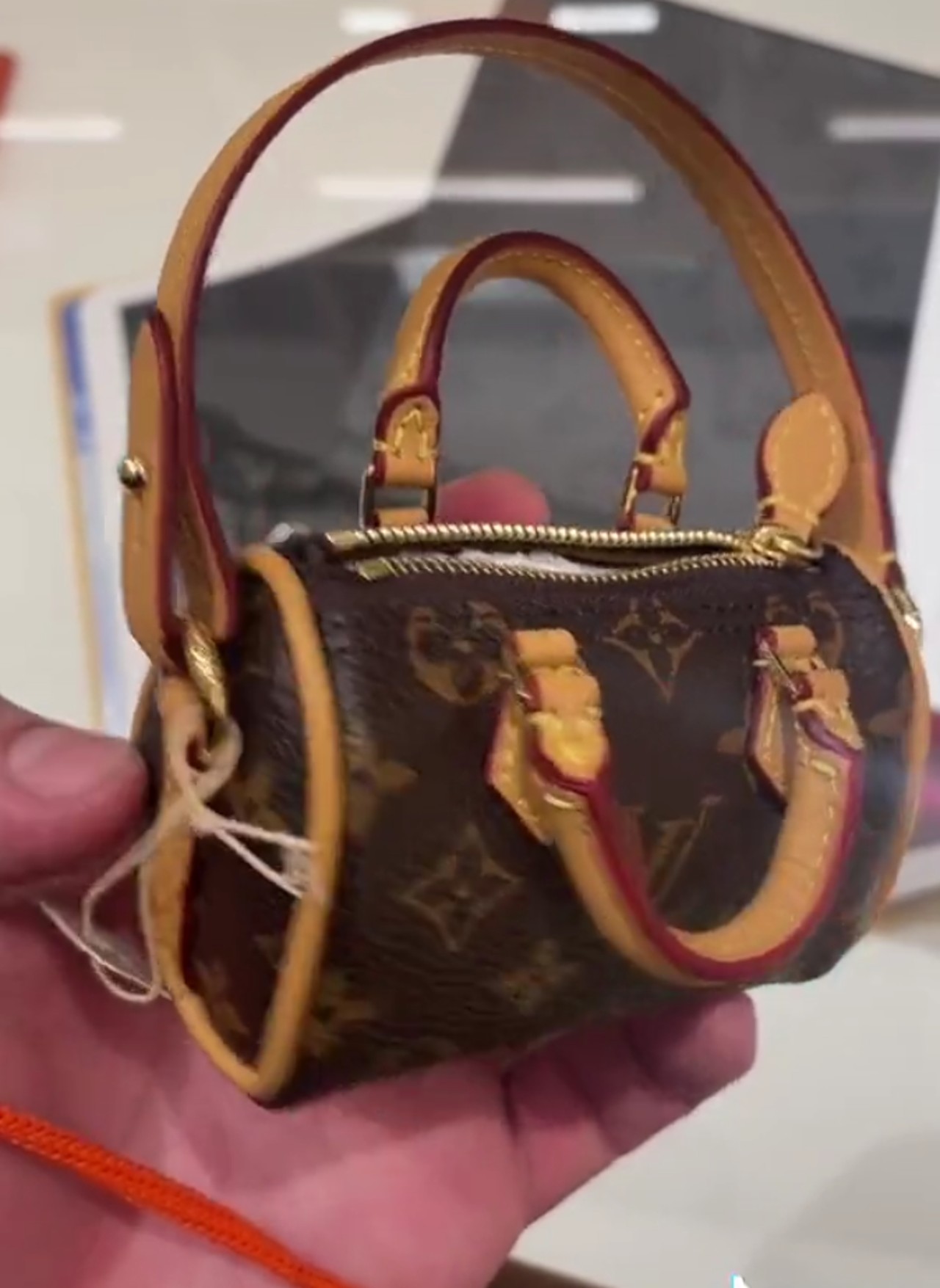 Louis Vuitton bolsa caca perro