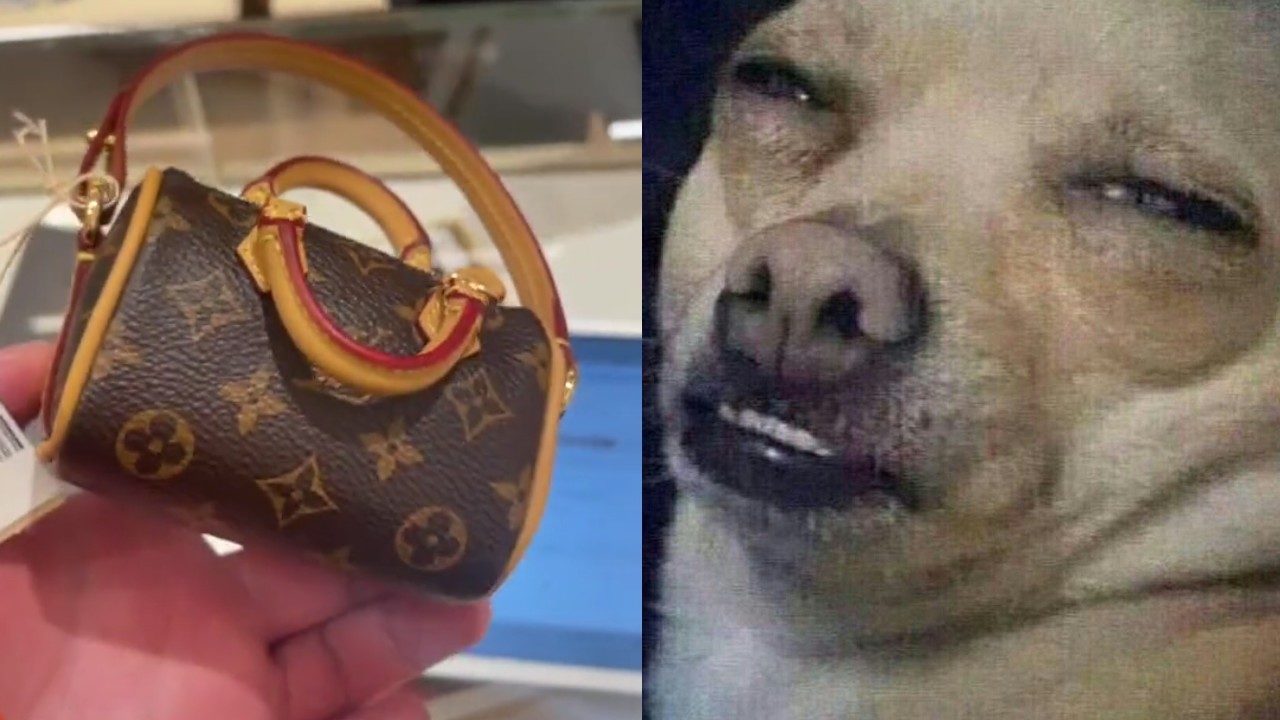 Louis Vuitton bolsa caca perro