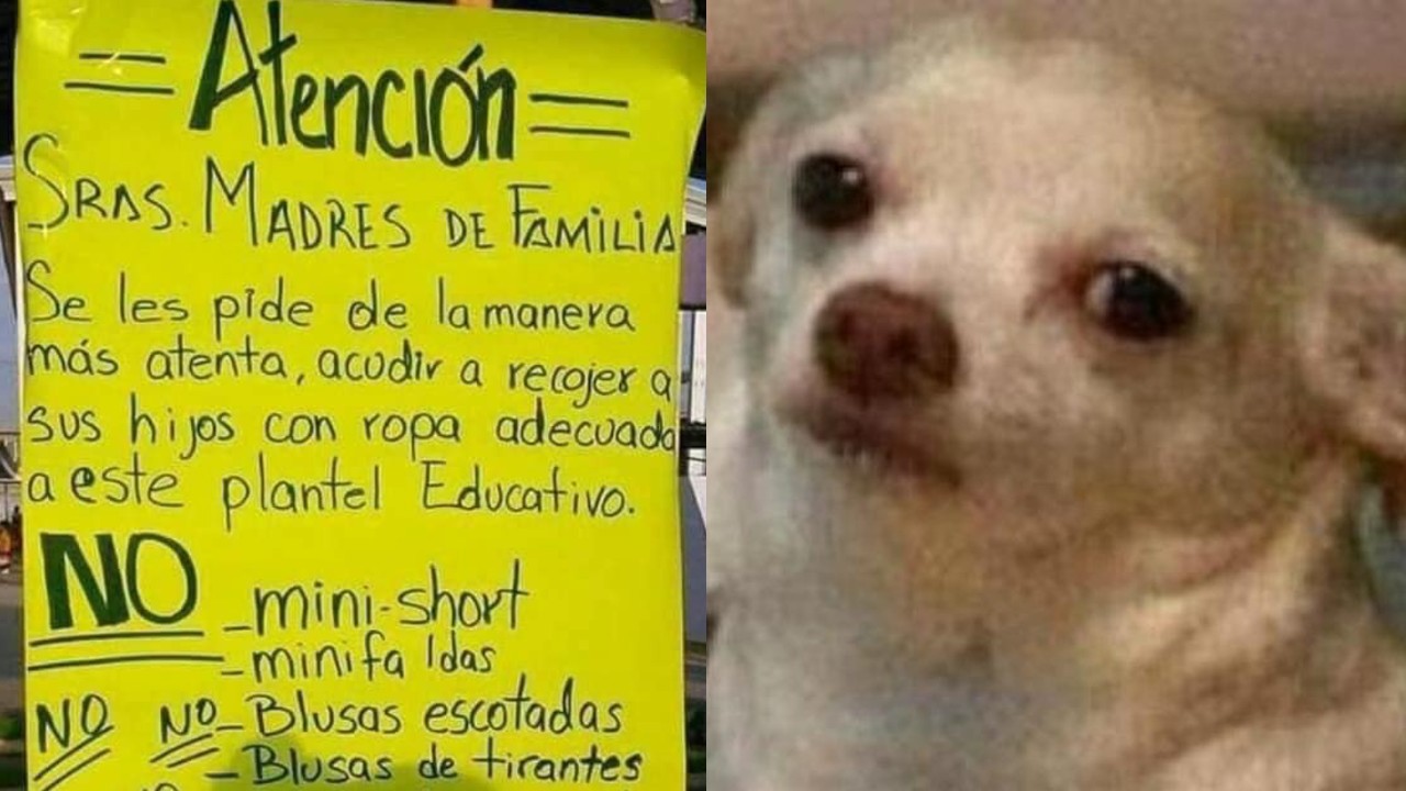 Escuela mamás hijos vestimenta sexy