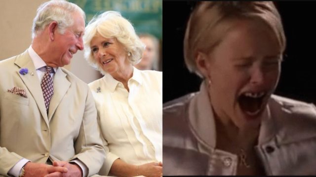 Camila Parker memes lady di corona britanica