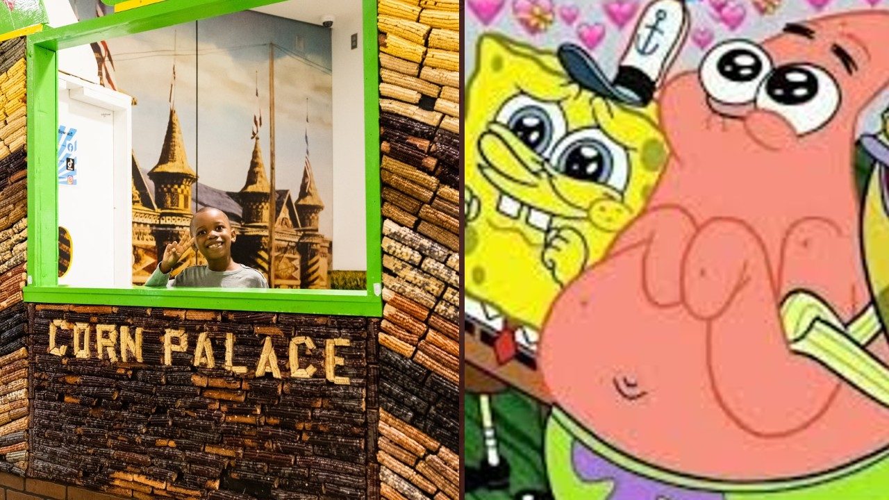 nino maiz twitter palacio elote