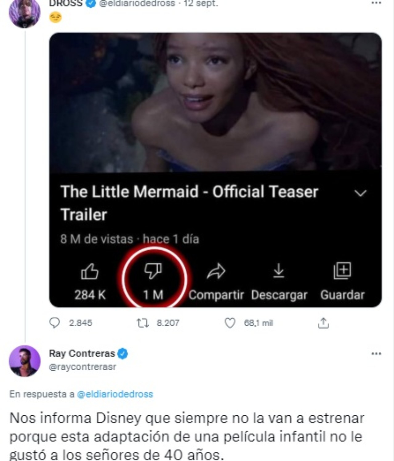 Destrozan Dross por criticar la Sirenita
